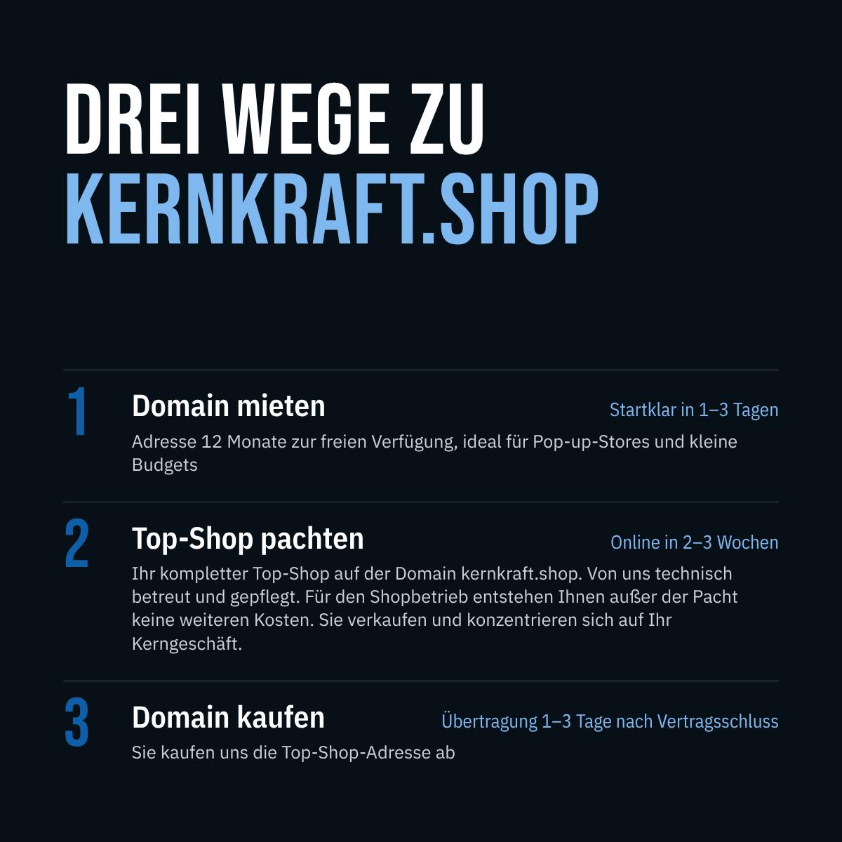 kernkraft.shop